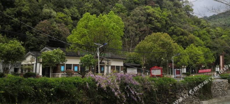 淳安水月湾农庄图片