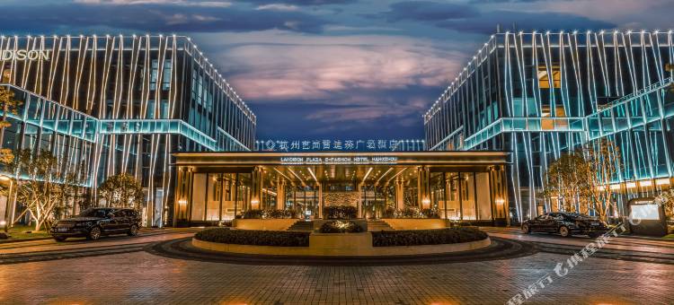 杭州艺尚雷迪森广场酒店图片