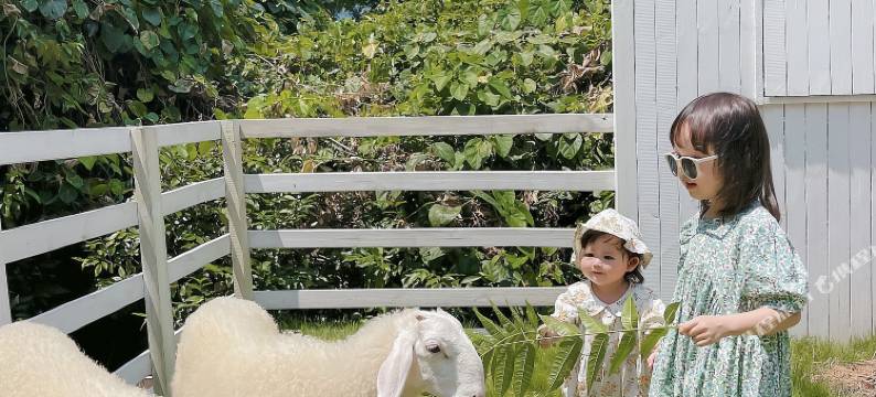 阳朔疏林听雨·网红牧场酒店(漓江店)图片