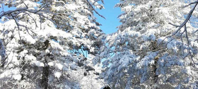 和龙老里克湖轻奢民宿图片