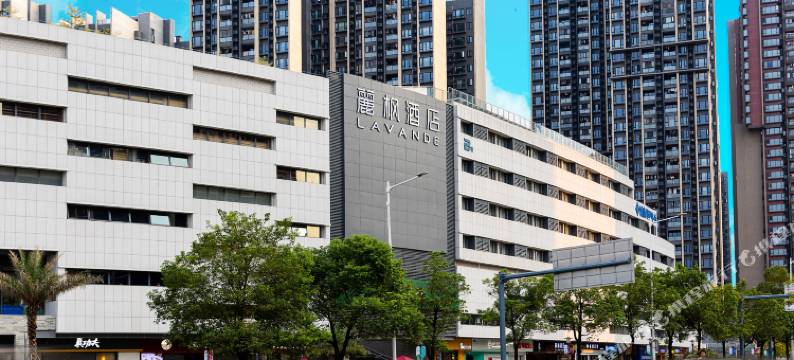 麗枫酒店(广州知识城何棠下地铁站店)图片