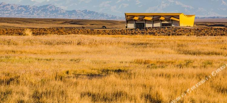 戈壁清泉酒店图片