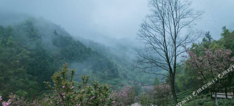 桃源人家民宿图片