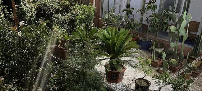 临沂连云商务宾馆图片