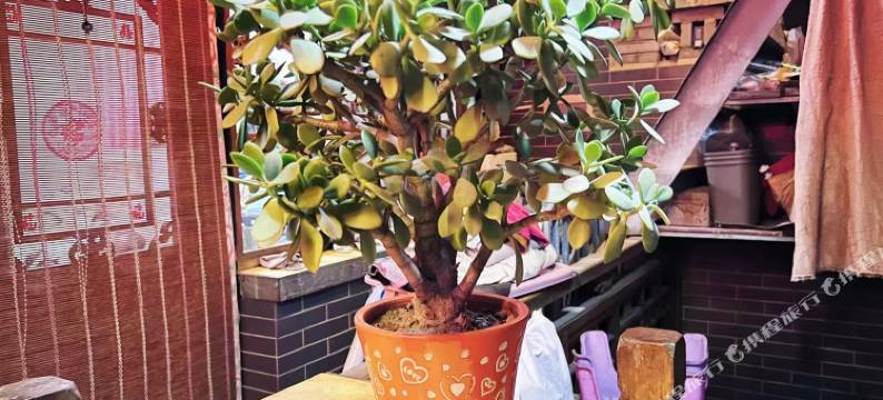 平遥任家老院客栈(平遥古城店)图片