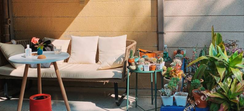 弥勒红河树影青年旅舍图片