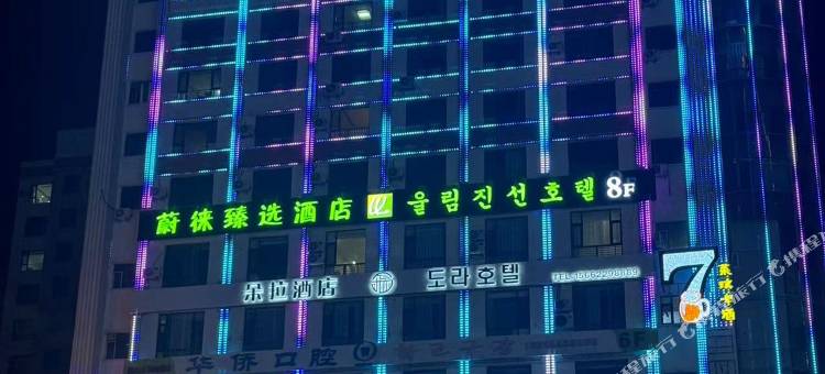 朵拉酒店图片
