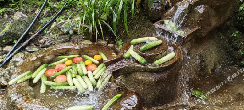 青城山云上洞天民宿(青城山景区店)图片