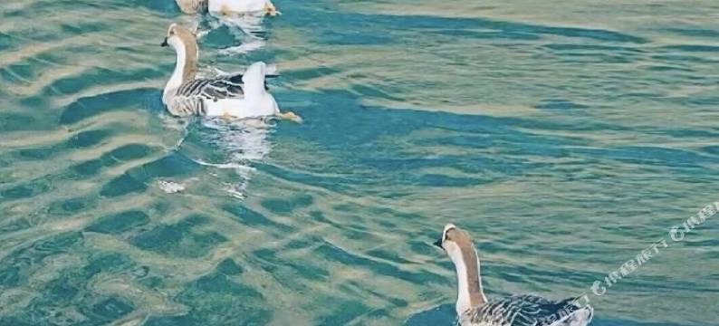 畔山小筑民宿(德天瀑布店)图片