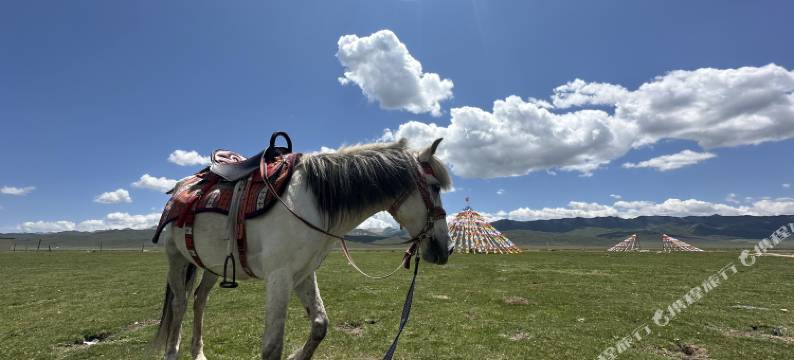 牧云社民宿图片