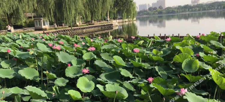 途客尚邻酒店(济南大明湖芙蓉街店)图片