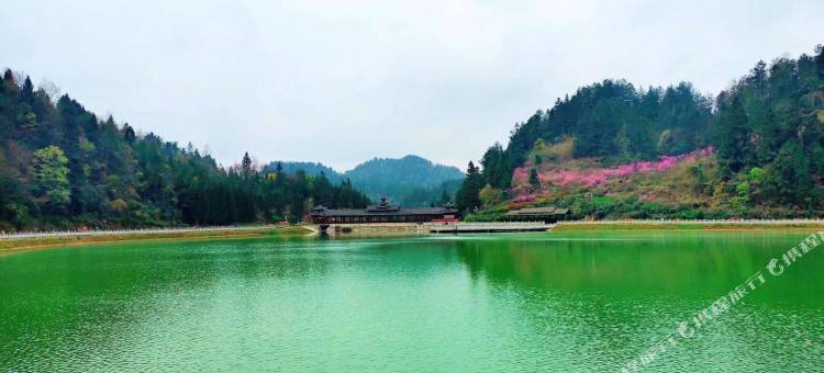 正安桃花源记民宿图片