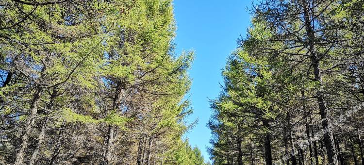 厦门佳旗酒店(SM城市广场江头地铁站店)图片