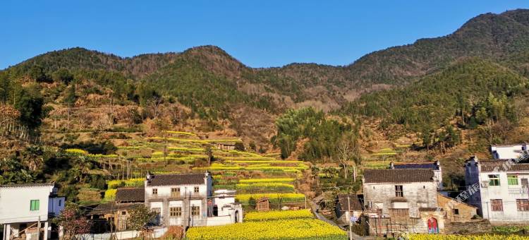 婺源又一村客栈图片