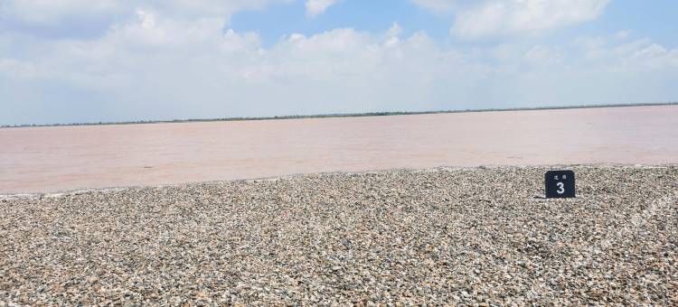 达拉特色民宿(七星湖旅游专线分店)图片