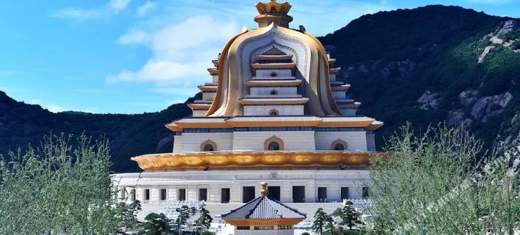 朱家尖心愿民宿图片