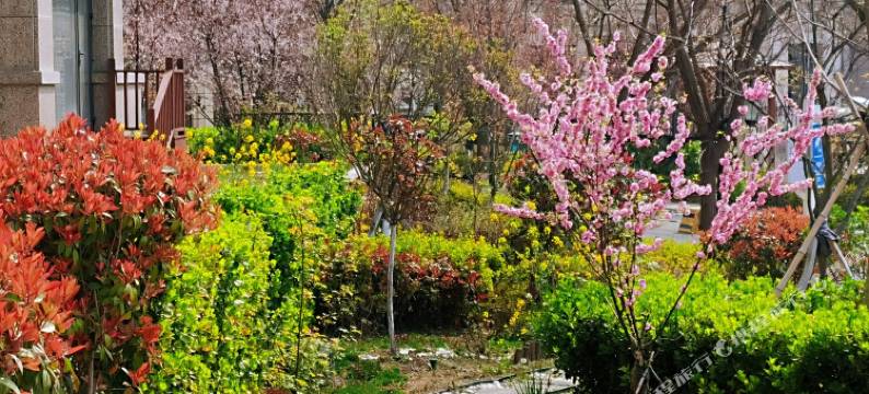 青岛仁者无敌公寓图片