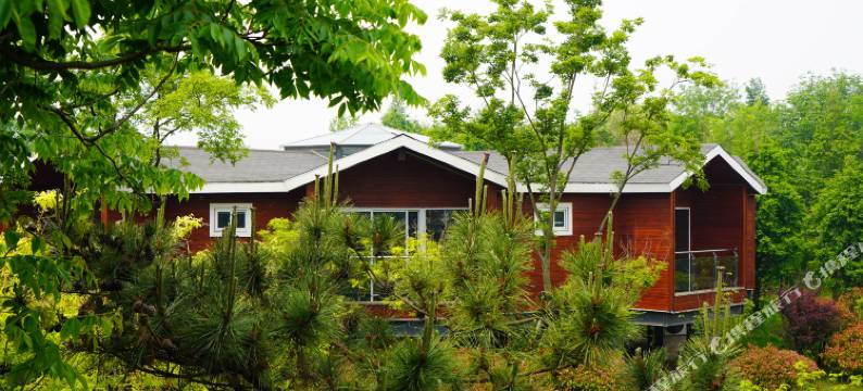 太阳海岸木屋民宿(日照刘家湾赶海园店)图片