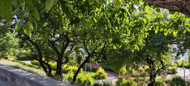 介休惠客农家院图片