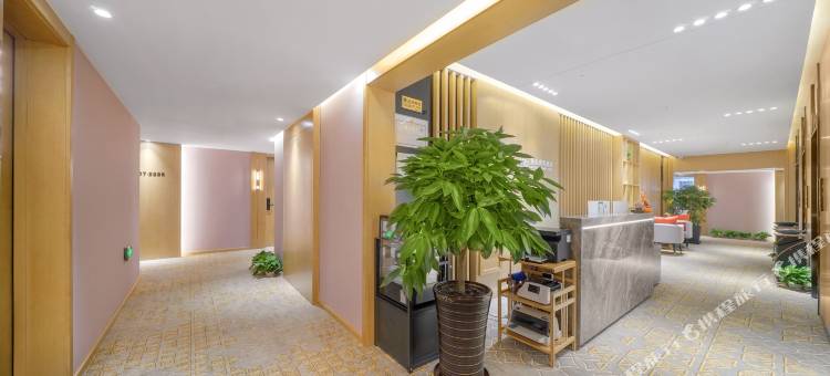 牡丹江金朵商务酒店(牡丹江万达广场店)图片