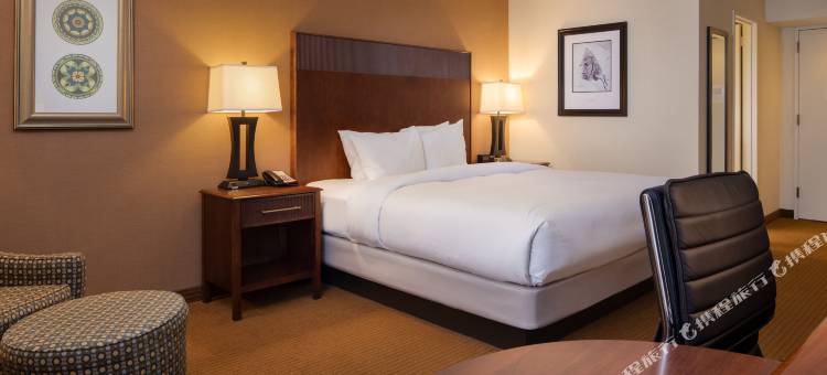 希尔顿逸林酒店-费城机场(DoubleTree by Hilton Philadelphia Airport)图片