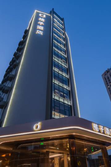 桔子酒店(上海世博中心店)图片