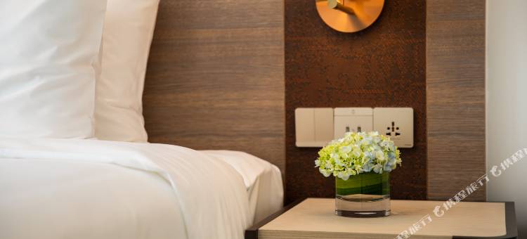 岘港雷迪森酒店(Radisson Hotel Danang)图片