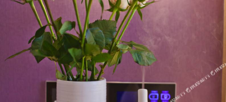 麗枫酒店(长沙火车站锦泰广场城际地铁站店)图片