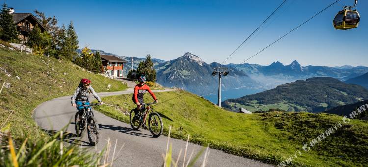 定制酒店-斯坦斯南(Tailormade Hotel Stans SÜD)图片