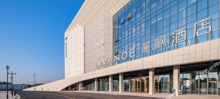 麗枫酒店(赵县城市综合馆店)图片