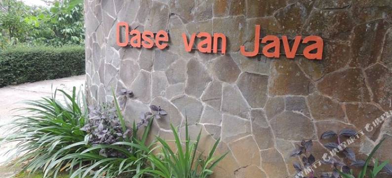 爪哇奥赛瓦恩酒店(Oase Van Java)图片