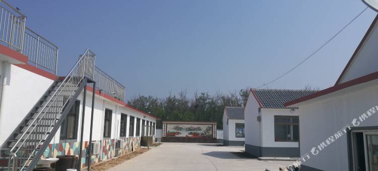 龙口桑岛度假村图片