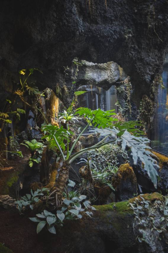 语溪圣景·生态·民宿(南岳衡山风景区南岳大庙店)