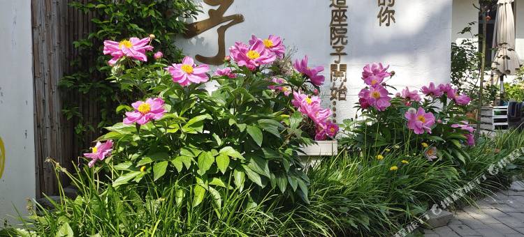 舍予民宿(青州古城景区店)图片