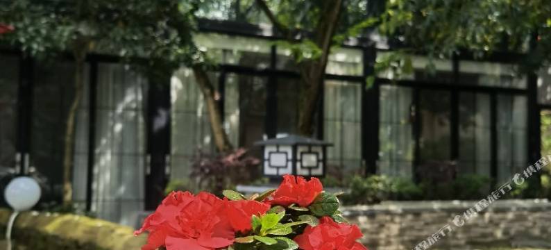 隐庐紫藤山舍图片