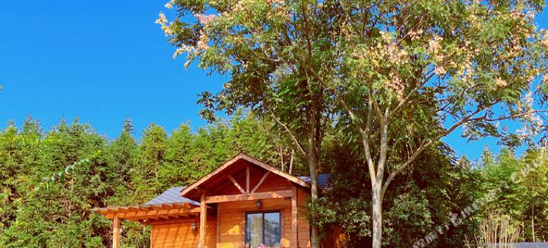 贰叁木舍(七彩药王谷店)图片