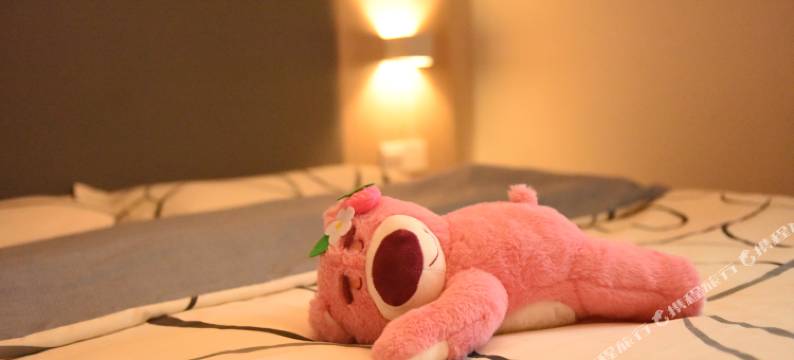 喜梵民宿(武昌火车站黄鹤楼店)图片