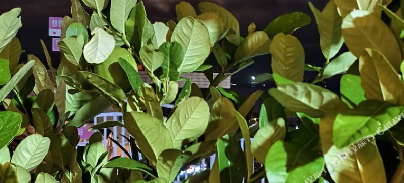 平潭北港海角小屋|SunriseSea·ViewVilla·180º海景度假民宿图片