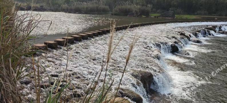 赤水张家湾汽车露营地图片