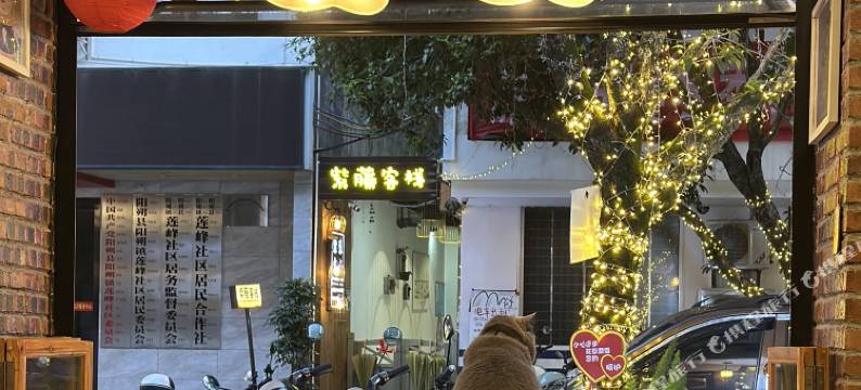 悦筑客栈(阳朔西街店)图片