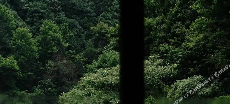 浦江溪野山居•亲子度假民宿图片