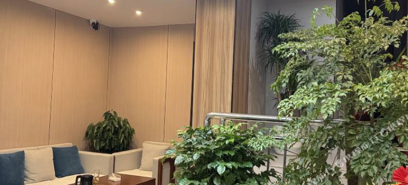 原木民宿酒店(陇南站陇南市第一人民医院店)图片