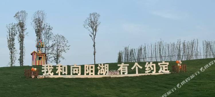 向阳湖湿地·音乐湖畔图片