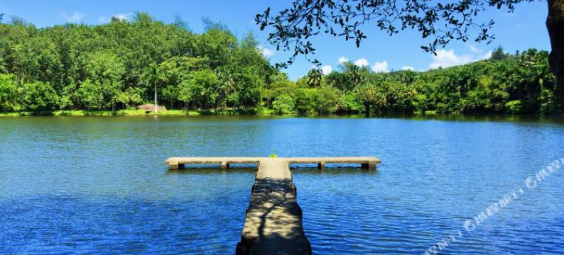 万宁热带花园中心驿站图片