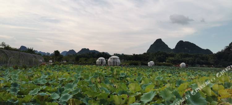 英德家家兴民宿图片