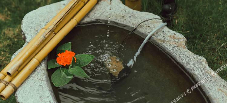 安顺旧州·朴岚居精品民宿图片