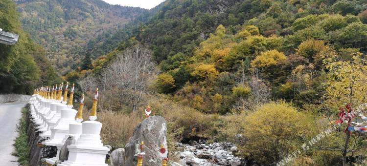 藏缘阁民宿图片