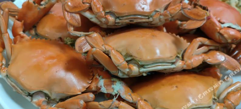 特呈岛·湛海民宿图片