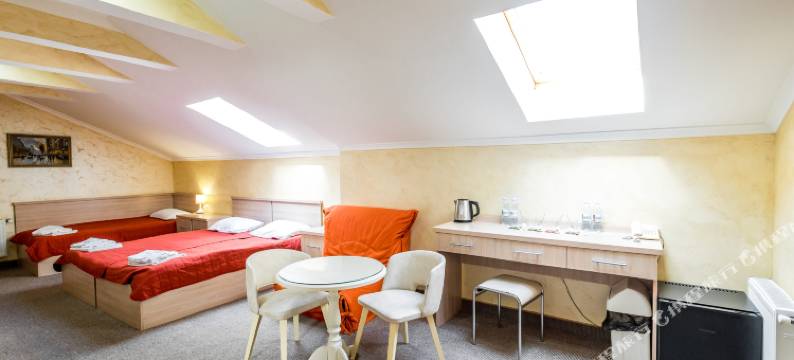 法兰西旅馆(Hotel France Vinnytsya)图片