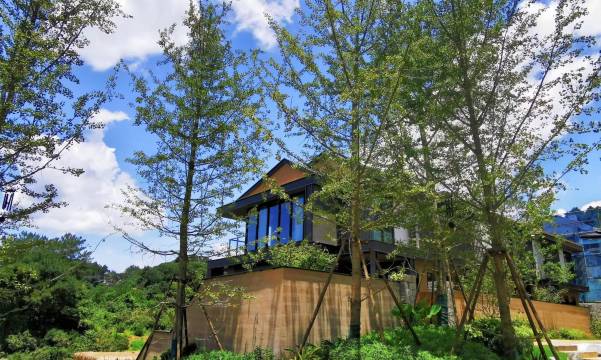 TheWild乡见·云溪漫谷民宿(闽清店)